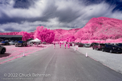 Topanga-Banjo-IR_©CHB_15May2022-0004-Edit
